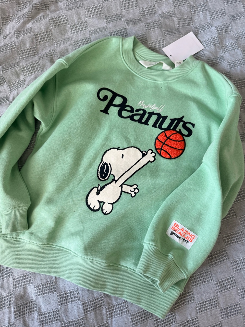 Children’s Peanuts Snoopy Basketball Crewneck Sweatshirt - Mint Green